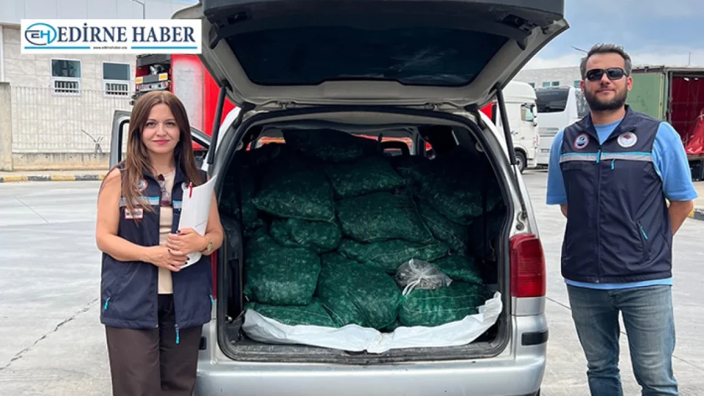 Kapıkule’de 840 kilogram kum midyesi ele geçirildi