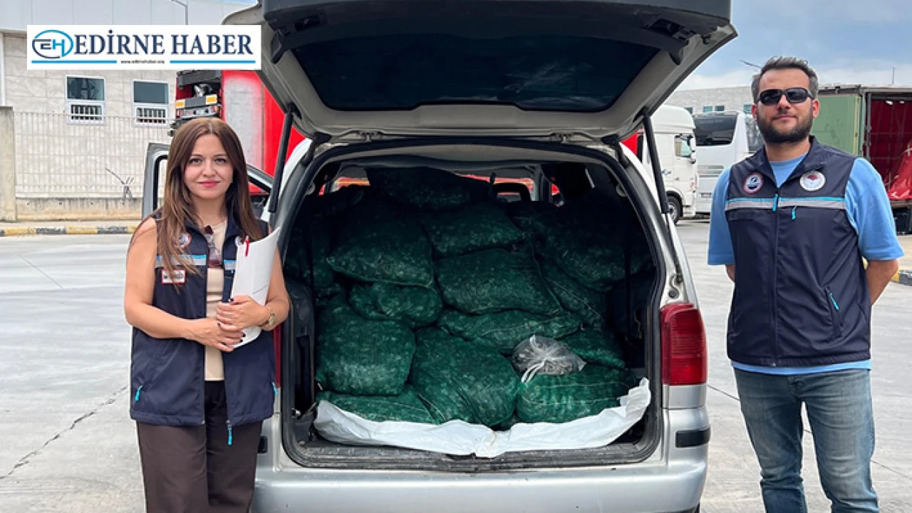 Kapıkule’de 840 kilogram kum midyesi ele geçirildi